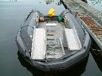 Inflatable Boat