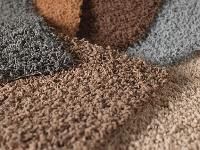 Cut Pile Carpets