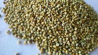 Machine cleaned Green Millet