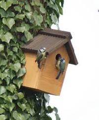 Robin and Garden Birds Nesting Boxes