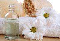 Roman Chamomile Oil