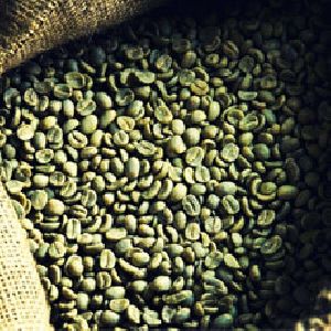 Green Coffee beans.