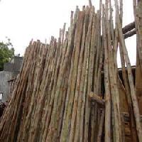 commercial wood poles