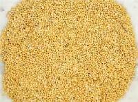 foxtail millet rice