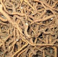 herbal ipecac roots