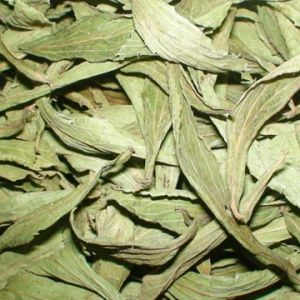 Dried Stevia Leaves