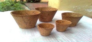 Coir Planters