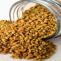 Fenugreek Seeds