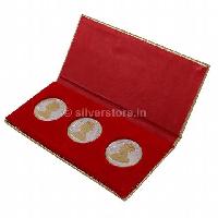 30 gm Gold Plated Silver Queen Victoria Coins