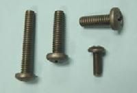 Titanium Screws