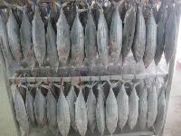 Frozen Yellowfin Tuna Fish