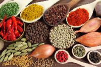 Indian spices