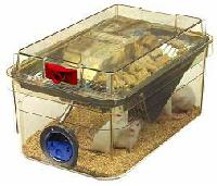 Laboratory Mice Cages