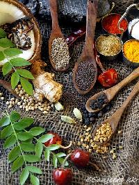 south indian spices