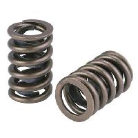 Valve Springs