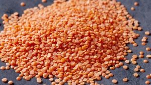 Red Lentils