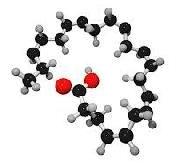 docosahexaenoic acid (dha)