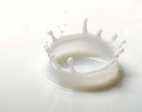 Dairy Milk Powder