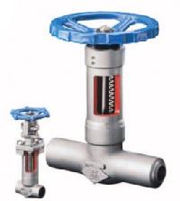 bellow seal valves