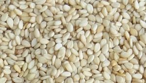 white sesame seeds