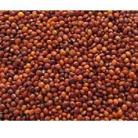 arhar seeds