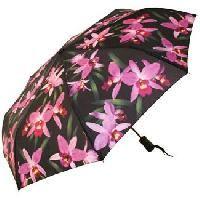 Ladies Umbrella (Orchid)