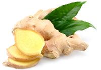 Fresh Ginger