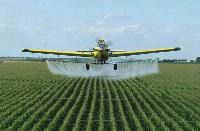 Chemical Pesticides