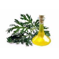 Artemisia oil