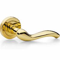 polished brass lever handles