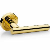 polished brass lever handles