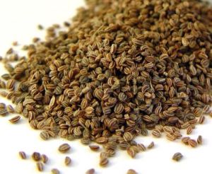 Celery Seed Oil