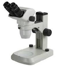 Stereoscopic Microscope