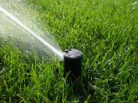 water based sprinkler