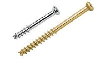 cannulated screws