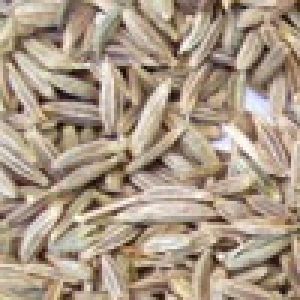 Cumin Seeds