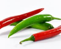 Fresh Chilli