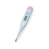 Digital-Thermometer