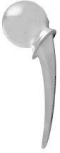 Thompson Hip Prosthesis - Excel