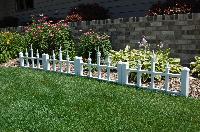 decorative garden fencing