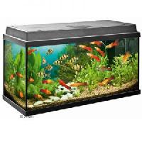 fish aquarium products