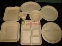 Disposable Food Container