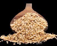 Sesame Seeds