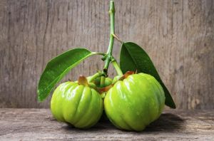 Garcinia Extract