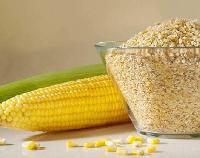 Maize Germ