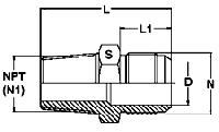 Male Connector