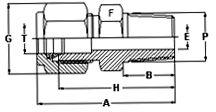 Male Connectors