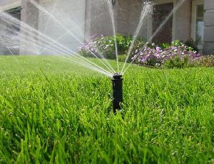 lawn sprinklers