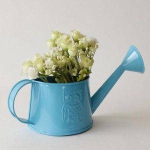 garden watering cans