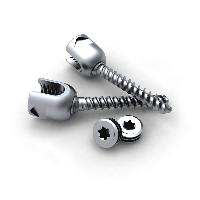 spine pedicle screws